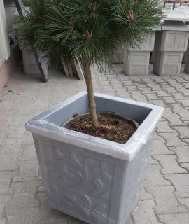 Sierlijke vierkante bloempot met decoratieve dennenboom